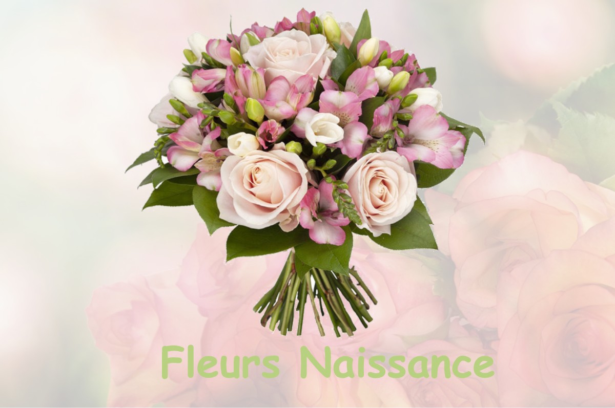 fleurs naissance NAUJAC-SUR-MER